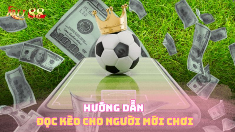 Hướng dẫn đọc kèo cho người mới chơi