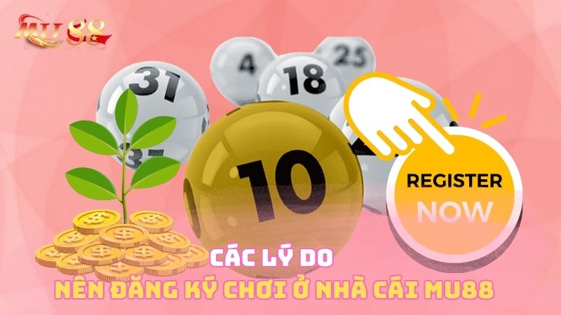 Các lý do nên đăng ký chơi ở nhà cái