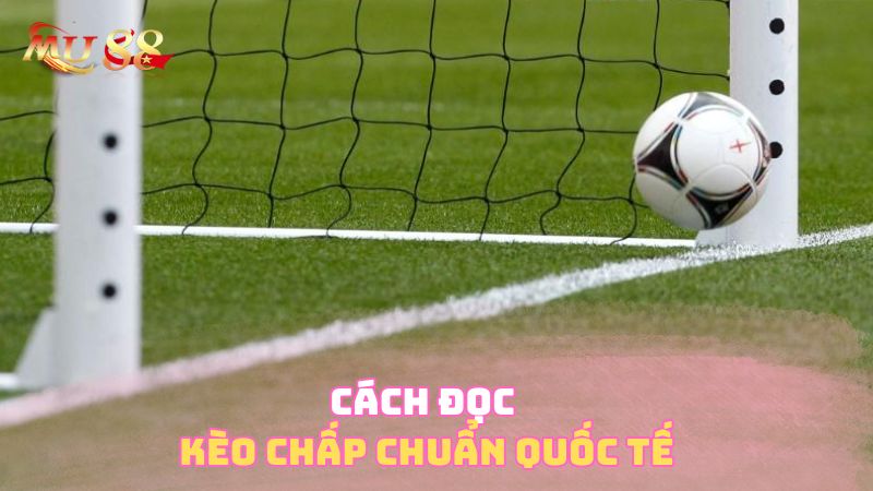 Đọc kèo chấp chuẩn quốc tế