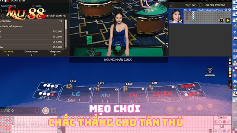 Mẹo chơi chắc thắng cho tân thủ